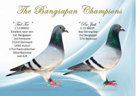 The Bangsapan Champions
