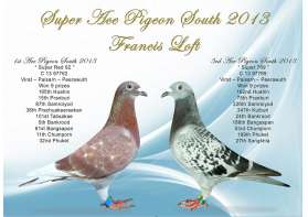 Super Ace Pigeon นกยอดเยี่ยม สายใต้ 2556 (2013)