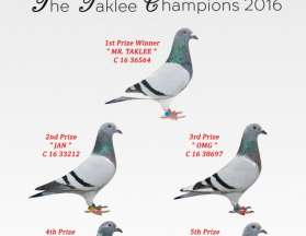 The Taklee Champions 2016 CP ทีมแชมป์จุดตาคลี 2016 CP