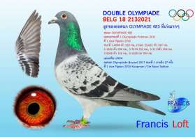 DOUBLE OLYMPIADE  สุดยอดนกระดับแชมป์โอลิมเปียด