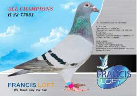 ALL CHAMPIONS (ขายแล้วครับ) R 23 77051 รวมสุดยอดแชมป์ในนกตัวนี้ 0