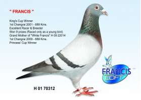 FRANCIS (ที่ 1 พระราชทาน เชียงราย 2001 1st Chiangrai) 0