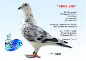 Steve Jobs (ที่ 1 นครสวรรค์)  ลูกที่ 1 พระราชทานเชียงราย 2009 0