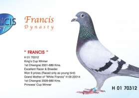 Francis Dynasty 1