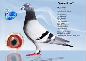 HOPE SOLO (ถ้วย 3 ใบ) 0