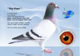 ROY KEAN (Inbreed Kleine Dirk) 0