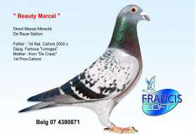 Beauty Marcel ยอดนกจากกรง Marcel Albrecht 0