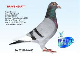 BRAVE HEART ลูกนกยอดเยี่ยมอันดับ 2 เยอรมัน 0