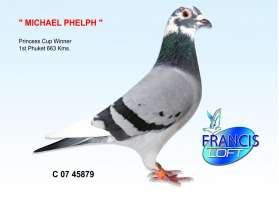 MICHAEL PHELPH (ที่ 1พระราชทานภูเก็ต 1st Phuket) 0