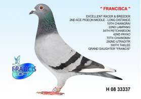 FRANCISCA (ที่ 10 เชียงราย 22 ลำปาง) 0