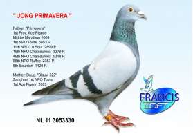 JONG PRIMAVERA ลูกที่ 1 National Tours 5853 p. 0