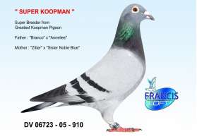 SUPER KOOPMAN นกนอกสุดยอด Koopman