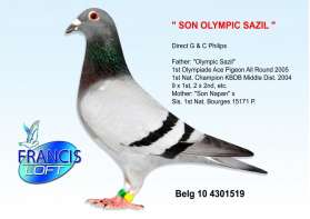 SON OLYMPIC SAZIL ลูกของยอดนกชนะที่ 1 Olympiade และที่ 1 เบลเยี่ยม KBDB