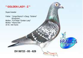 GOLDEN LADY - Z  นกนอก น้องน้อง Kleine Dirk 0