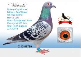 " Vitchuda " ที่ 1 ถ้วยพระราชทาน จุดเชียงใหม่ 2013 แชมป์ 2 ถ้วยพระราชทาน 0