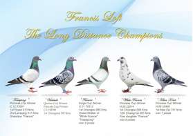 ยอดนกถ้วยพระราชทานสายเหนือยุคปัจจุบันของกรง Francis Loft 0