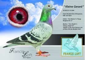 KLEINE GERARD  รวมยอดนกของ Gerard Koopman ไว้ในตัว 0