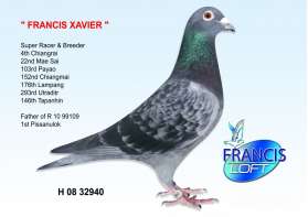 FRANCIS XAVIER ยอดนกที่ 4 เชียงราย ที่ 22 แม่สาย ฯลฯ 0