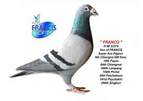 FRANCO ที่ 6 เชียงราย ที่ 10 พะเยา ฯลฯ ลูก FRANCIS 0