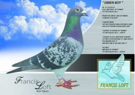 " EBBEN BOY " พี่ชาย FAMKE ที่ 1 Nat. Blois 2011 W&F EBBEN 0