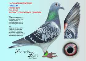 เราชนะที่ 1 เชียงราย อีกครั้ง ปี 2015 0