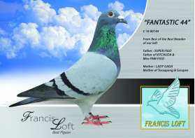 FANTASTIC 44  พ่อของที่ 1 เชียงใหม่ x แม่ที่ 1 เชียงราย และ พะเยา 0