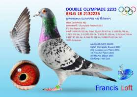 DOUBLE OLYMPIADE 2233 พ่อและแม่เก่งมากๆ ระดับแชมป์ OLYMPIADE 