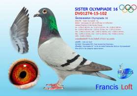 "SISTER OLYMPIADE 16" น้องสาวของยอดนก "OLYMPIADE 16"