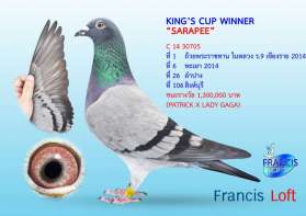 "SARAPEE"ที่ 1พระราชทานเชียงราย ถ้วยในหลวง2014 ที่6พะเยา - 1st King