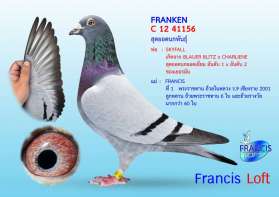  FRANKEN - H 12 41156   SKYFALL x FRANCIS  0