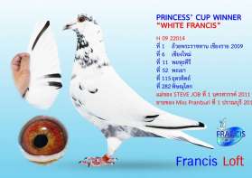 White Francis ที่ 1 พระราชทานเชียงราย 2009 0
