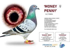 MONEY PENNY เป็นอินบรีด HARRY สุดยอดนกเก่งนกดังของโลก ของ JAN HOOYMANS 0