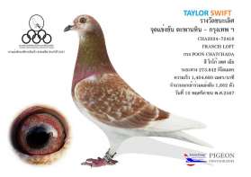 TAYLOR SWIFT  ที่ 1 ตะพานหิน 2024   กินห่วงตัวแรก 0