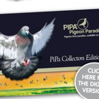 pipa-collectors-edition-iiหมดแล้วครับหนังสือนกที่สวยและดีที่สุดในย