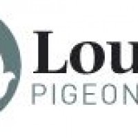 louella-pigeon-worldคลังนกพิราบชั้นดีราคาถูก