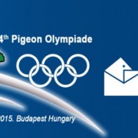 34th-olympiade-budapest-hungary-งานโอลิมเปียดนกพิราบ