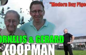 cornelisgerard-koopman-กับเรื่อง-the-modern-day-pigeon