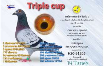 “-triple-cup-”-ผมชนะ-3-ถ้วย-ขอพักผ่อนละนะครับบอสนกตัวเดียวชนะ-3-ถ้ว