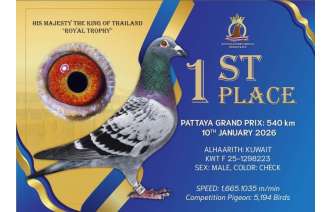 10th-pattaya-international-pigeon-race-2025 10th-pattaya-international-pigeon-race-2025