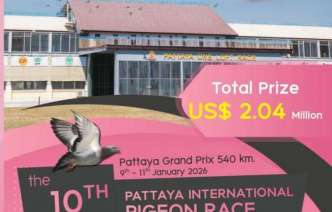 วิดีโอนี้เป็นสรุปการแข่งขันนกพิราบแข่งรายการ-pattaya-international-pig วิดีโอนี้เป็นสรุปการแข่งขันนกพิราบแข่งรายการ-pattaya-international-pig