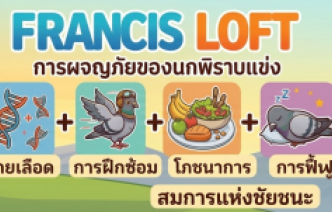 draftสมการว่าด้วยศาสตร์แห่งการเป็นแชมป์เปี้ยน draftสมการว่าด้วยศาสตร์แห่งการเป็นแชมป์เปี้ยน